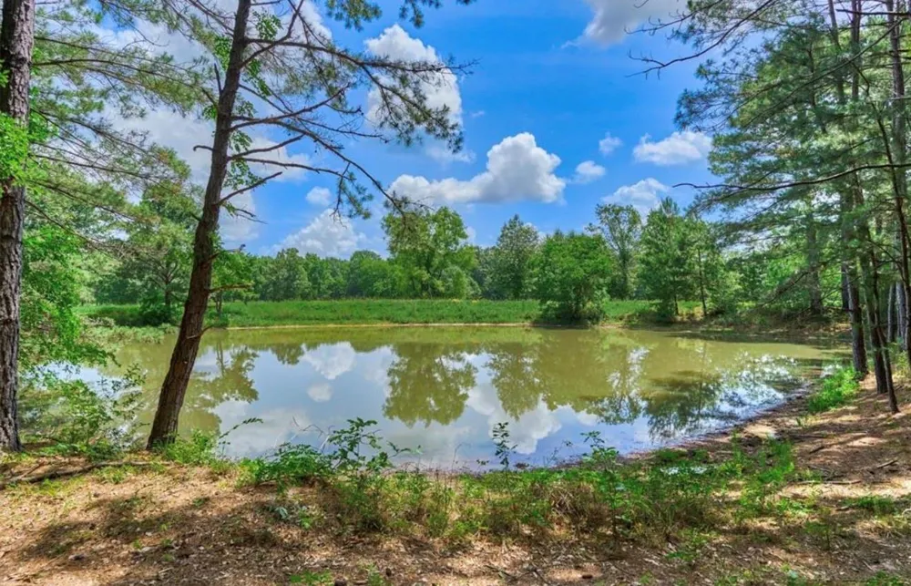 Sharpwest Trail Montgomery, TX 77316