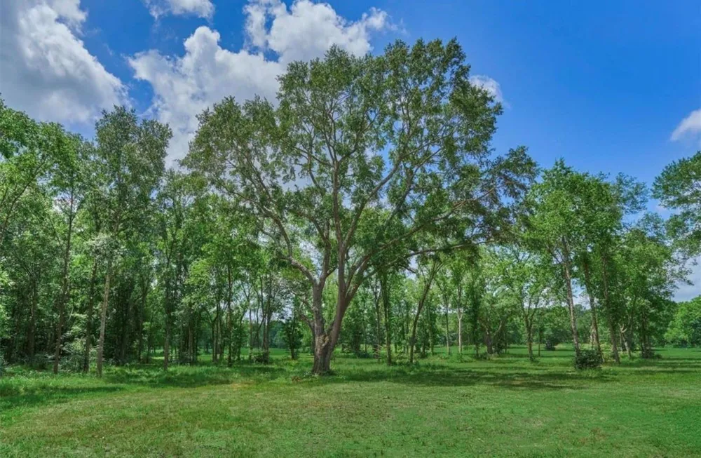 Sharpwest Trail Montgomery, TX 77316