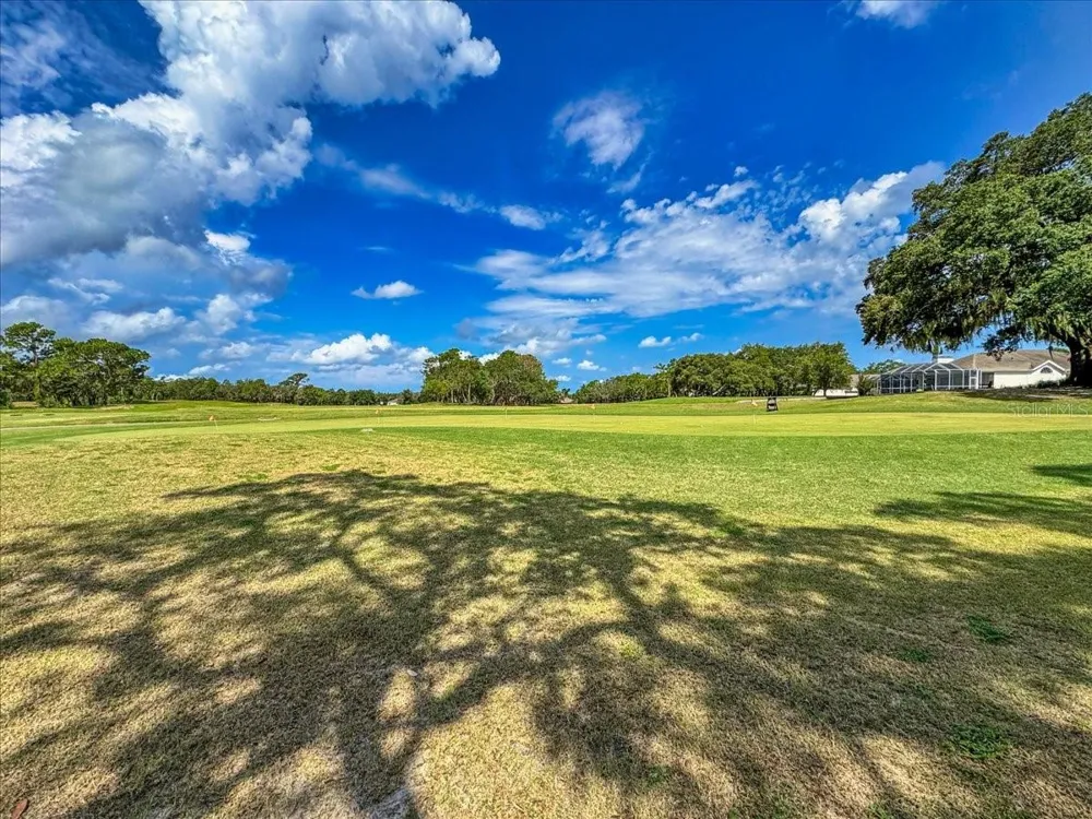 7 BELLIS COURT Homosassa, FL 34446