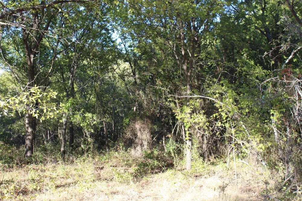 Eureka School Road Nocona, TX 76255
