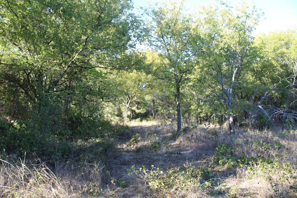 Eureka School Road Nocona, TX 76255