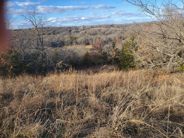Eureka School Road Nocona, TX 76255