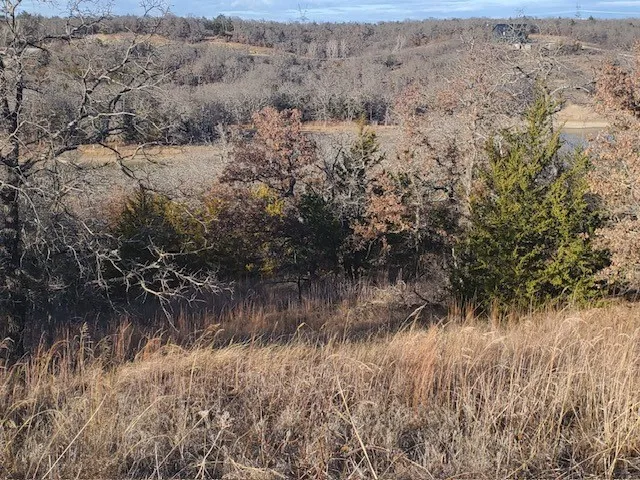 Eureka School Road Nocona, TX 76255
