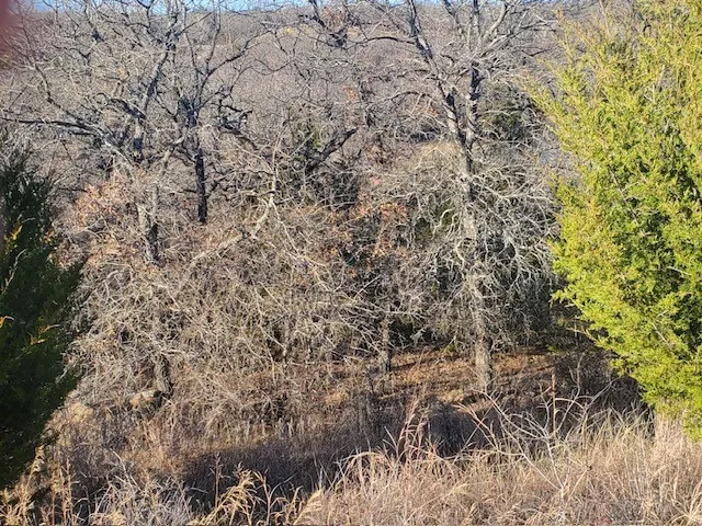 Eureka School Road Nocona, TX 76255