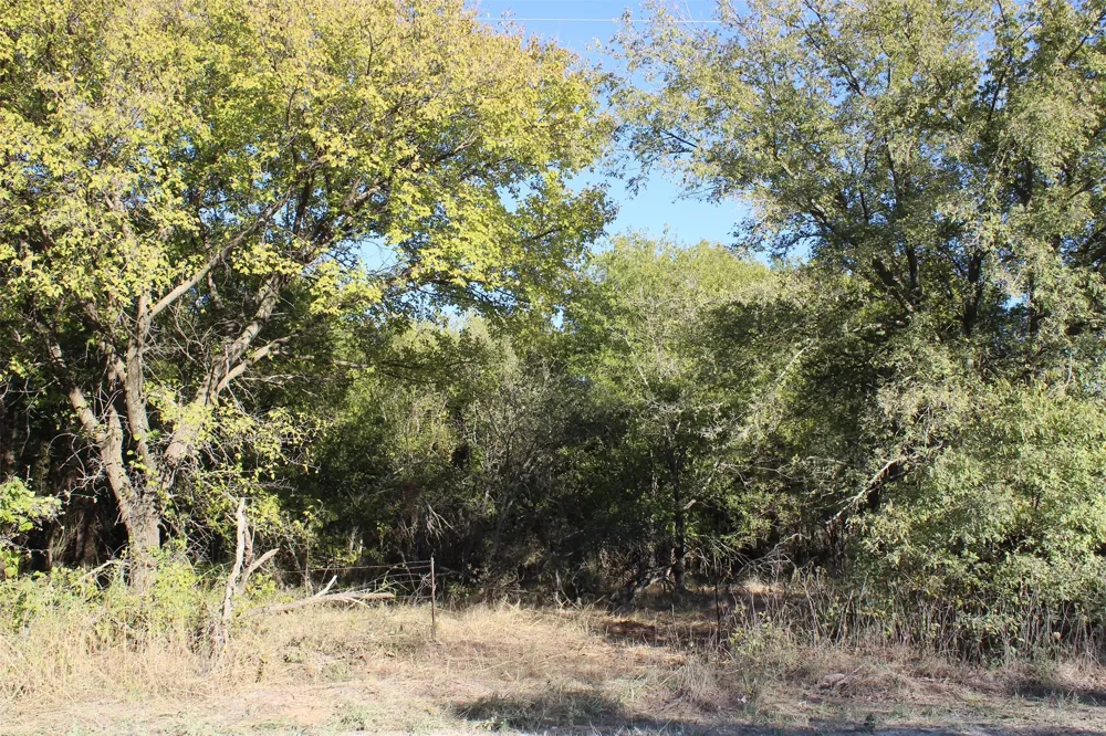 Eureka School Road Nocona, TX 76255