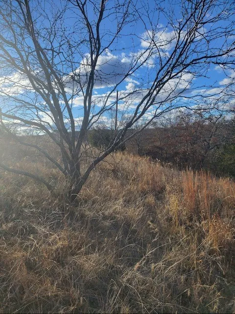 Eureka School Road Nocona, TX 76255