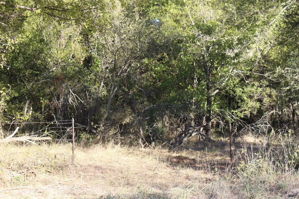 Eureka School Road Nocona, TX 76255