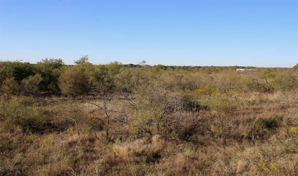 Eureka School Road Nocona, TX 76255