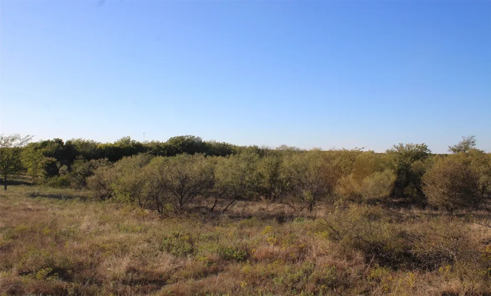 Eureka School Road Nocona, TX 76255