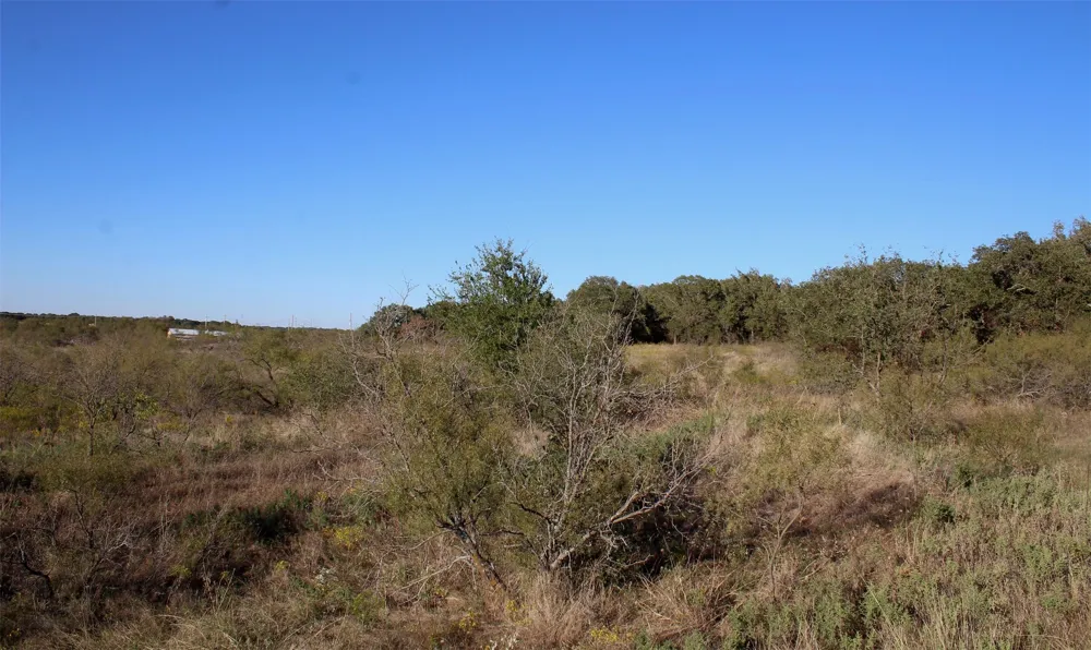 Eureka School Road Nocona, TX 76255