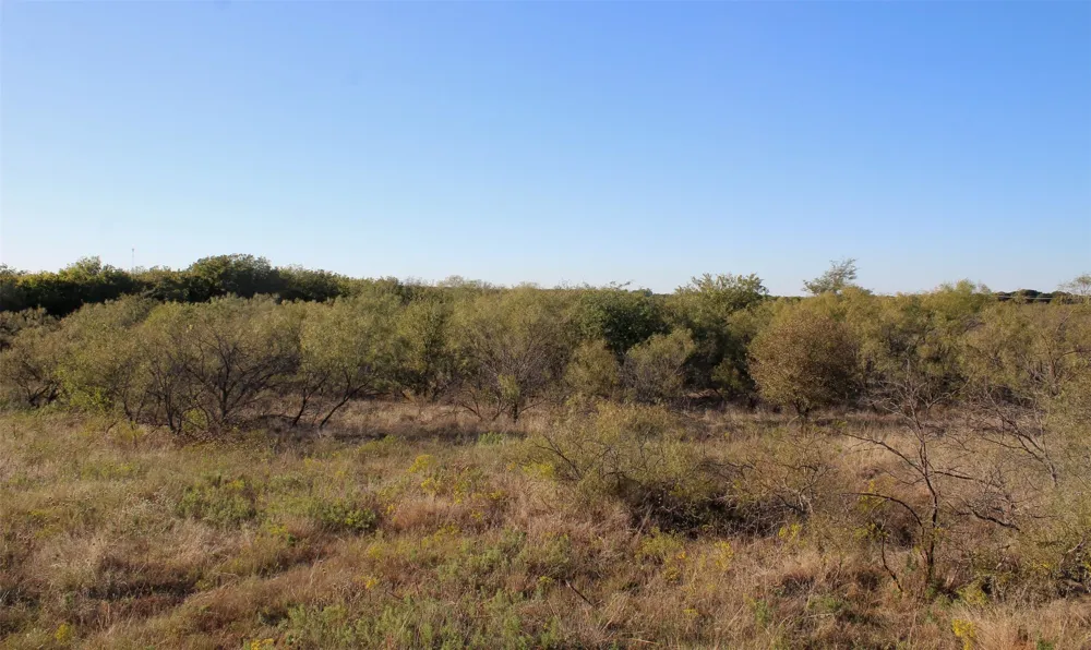 Eureka School Road Nocona, TX 76255