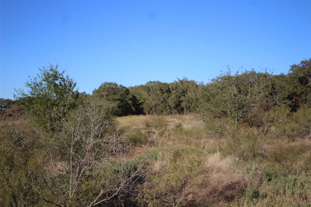 Eureka School Road Nocona, TX 76255