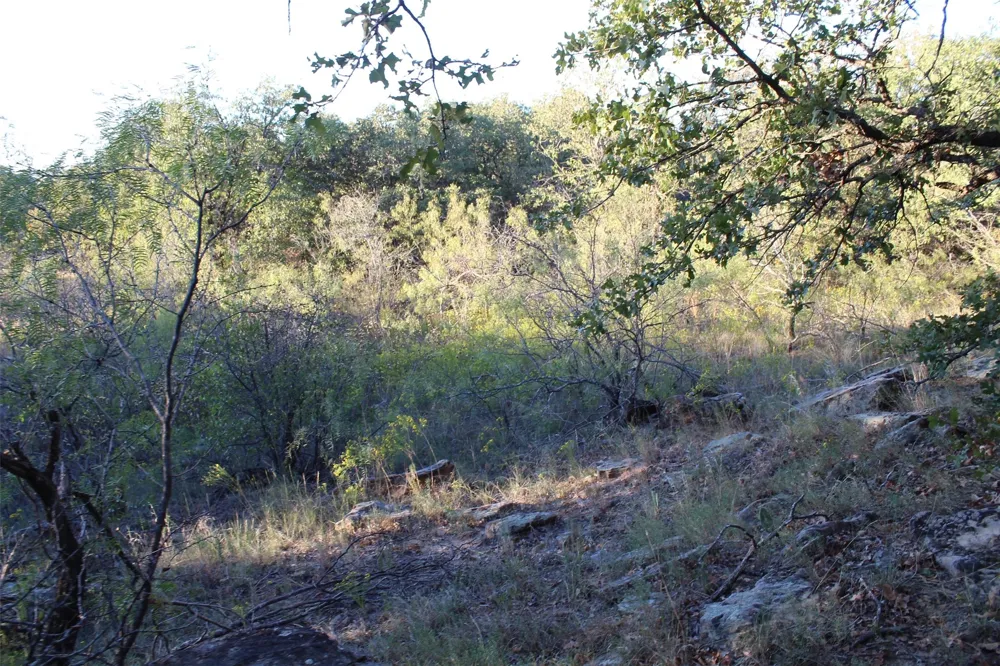 Eureka School Road Nocona, TX 76255