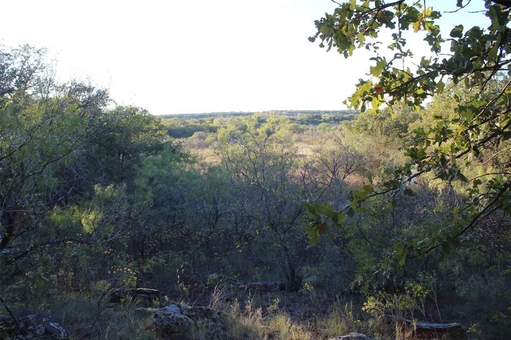 Eureka School Road Nocona, TX 76255