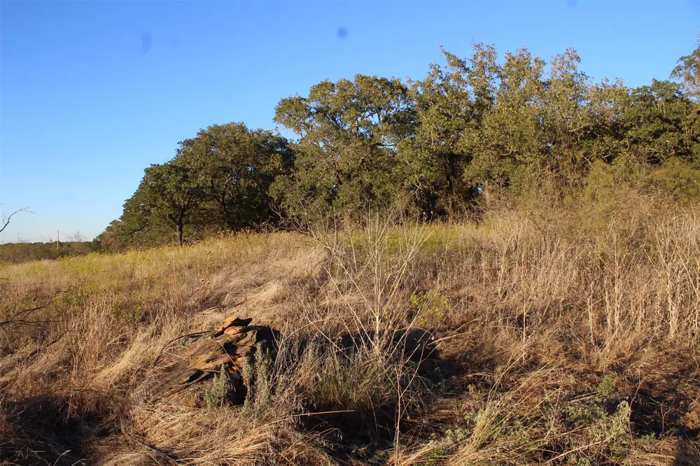 Eureka School Road Nocona, TX 76255