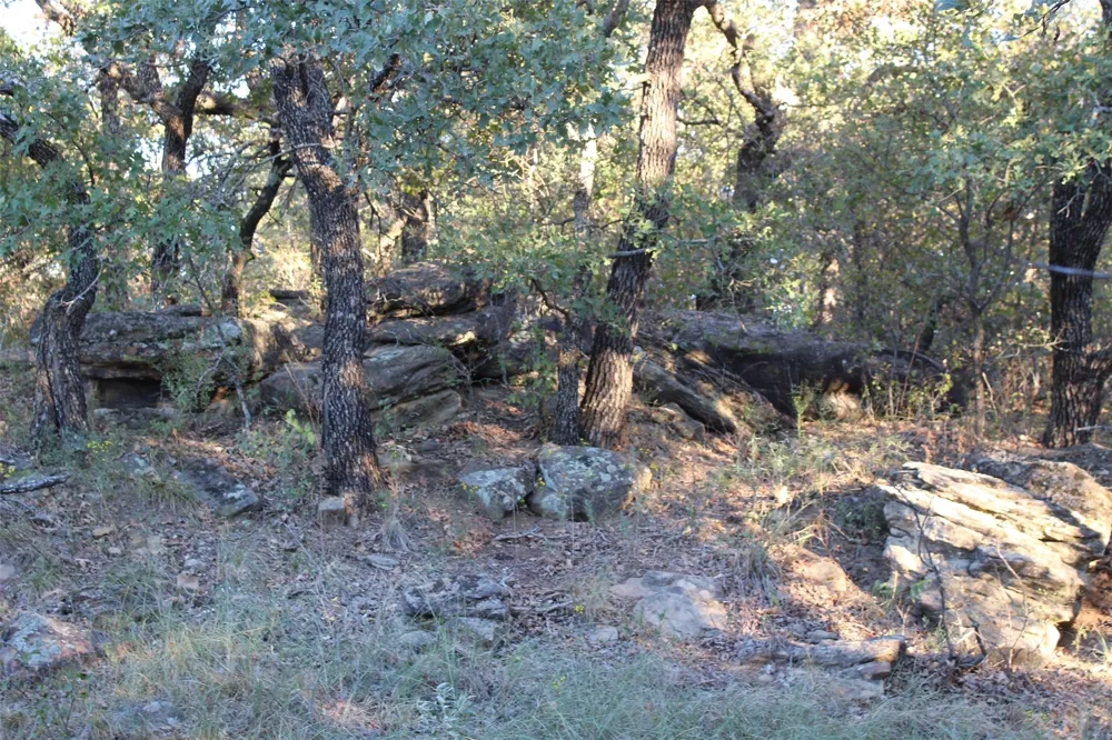 Eureka School Road Nocona, TX 76255