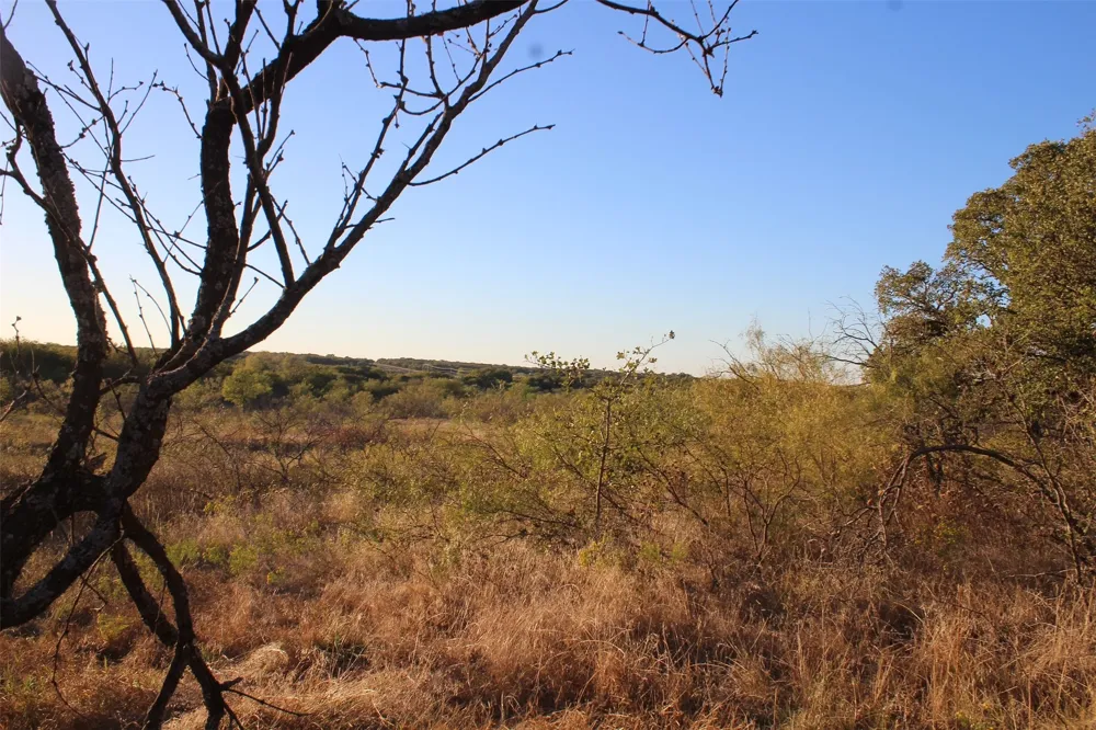 Eureka School Road Nocona, TX 76255