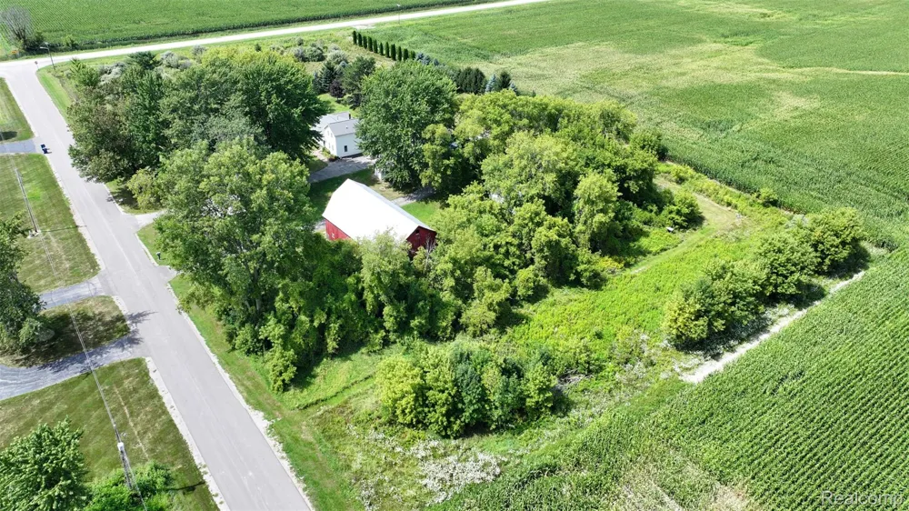 12930 Wilkinson Road Tittabawassee Township, MI 48623