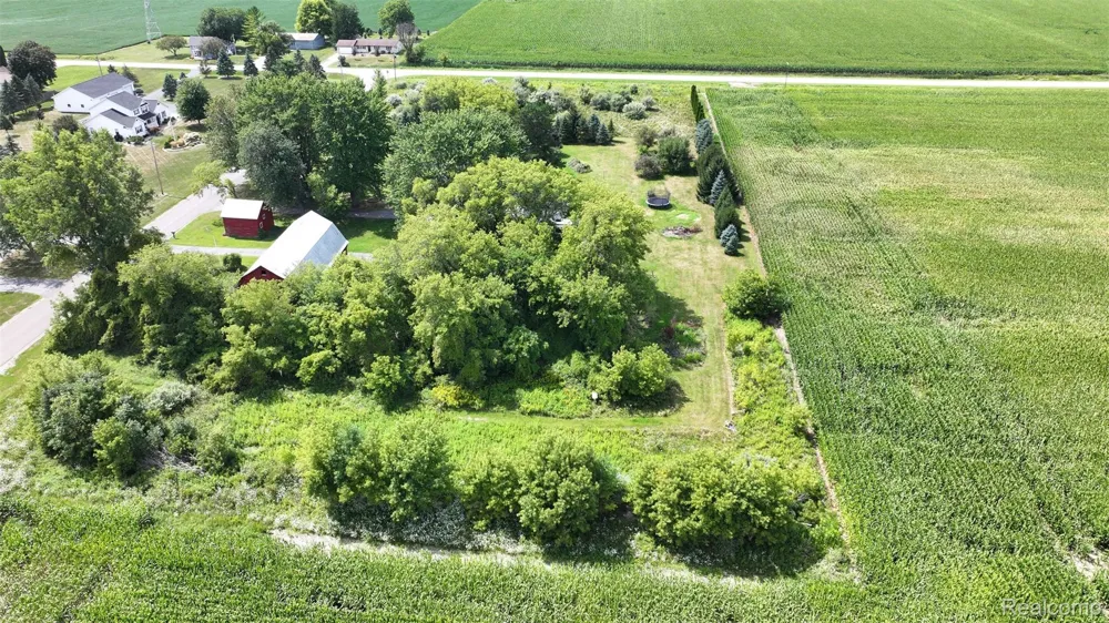12930 Wilkinson Road Tittabawassee Township, MI 48623