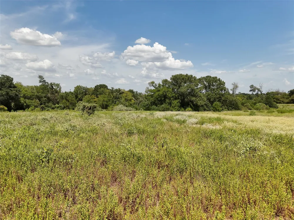 15 Hill Buffalo, TX 75831