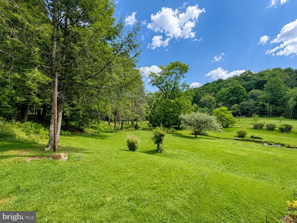 53 WILDCAT ROAD Kane, PA 16735