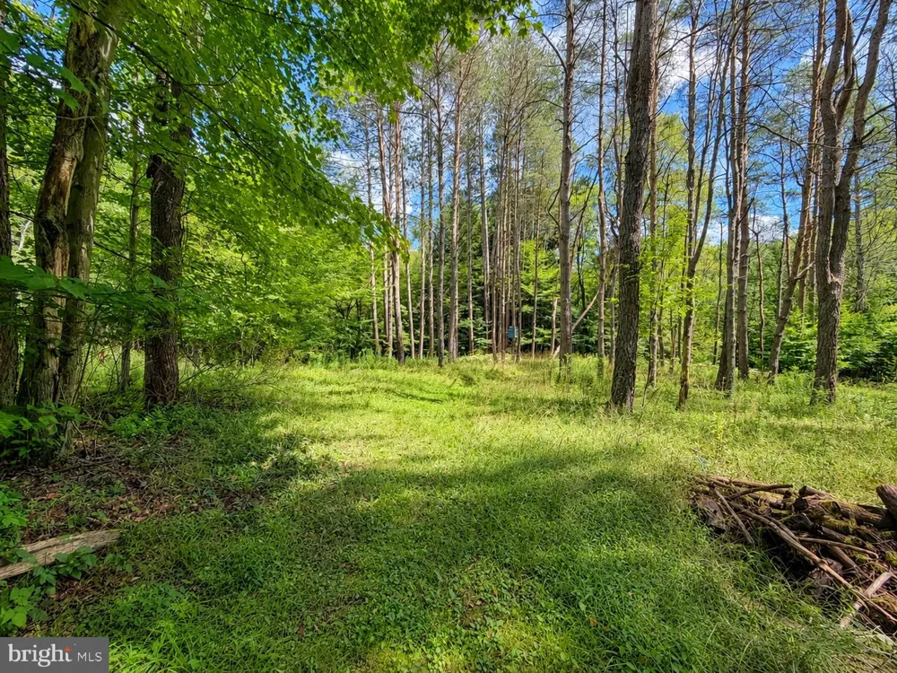 53 WILDCAT ROAD Kane, PA 16735