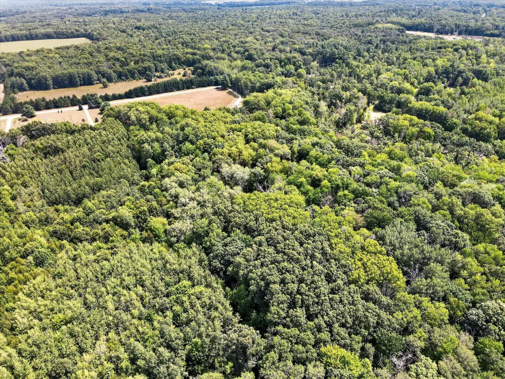 10077 Maple Hill Road Reynolds Township, MI 49329