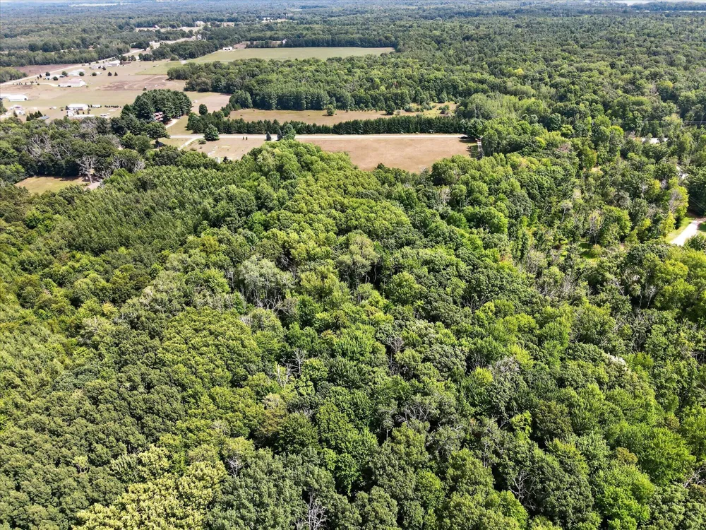 10077 Maple Hill Road Reynolds Township, MI 49329