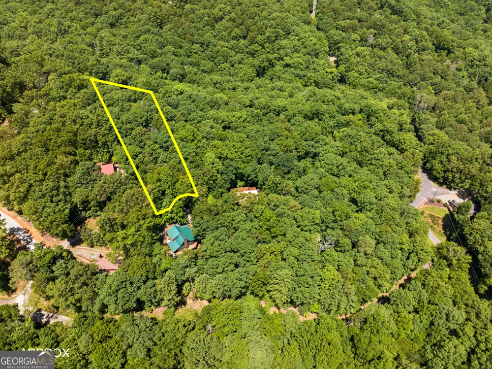 52-A Merit CT Ellijay, GA 30540