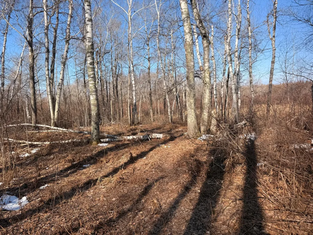 TBD Happy Tree Lane Bruno, MN 55712
