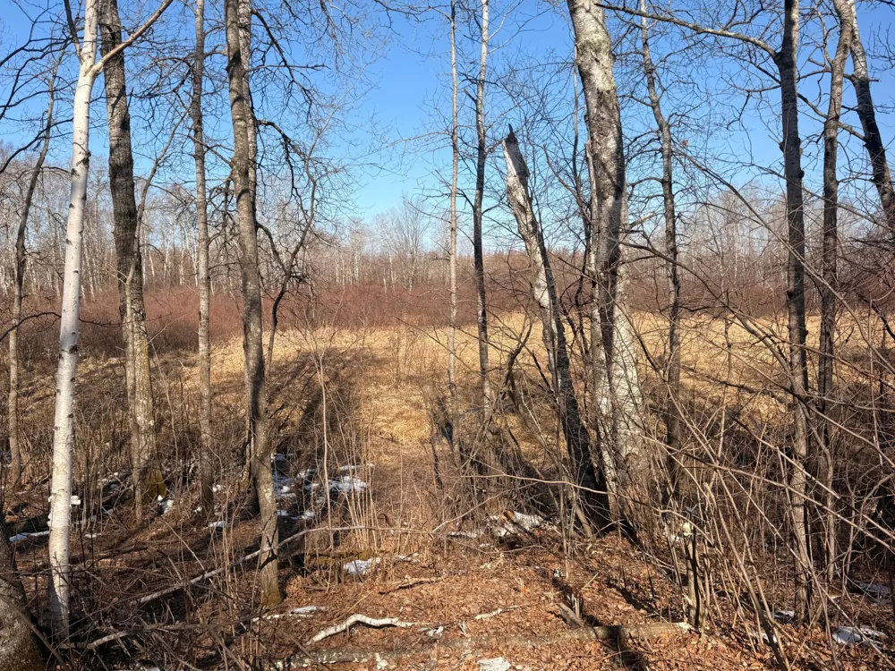 TBD Happy Tree Lane Bruno, MN 55712