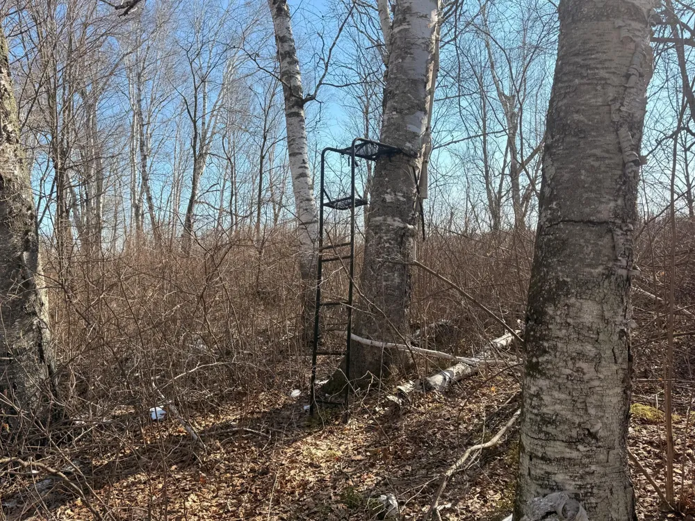 TBD Happy Tree Lane Bruno, MN 55712