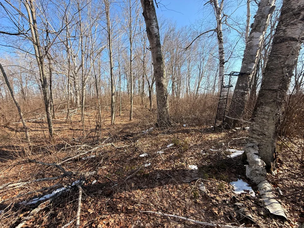 TBD Happy Tree Lane Bruno, MN 55712