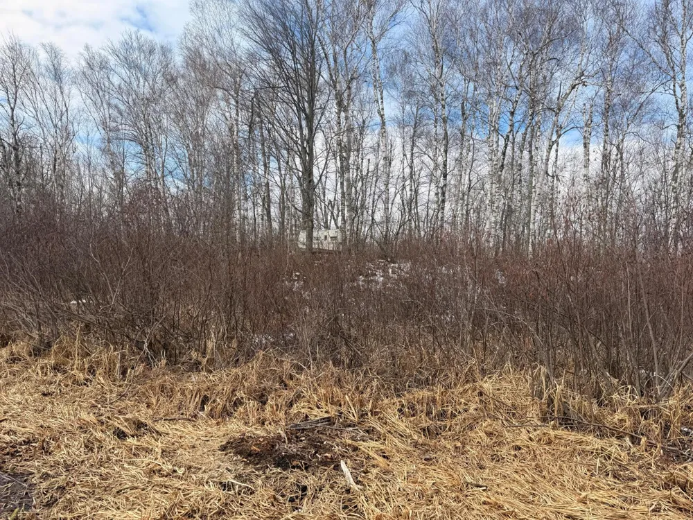 TBD Happy Tree Lane Bruno, MN 55712