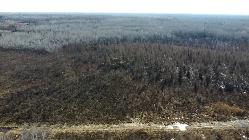 TBD Happy Tree Lane Bruno, MN 55712
