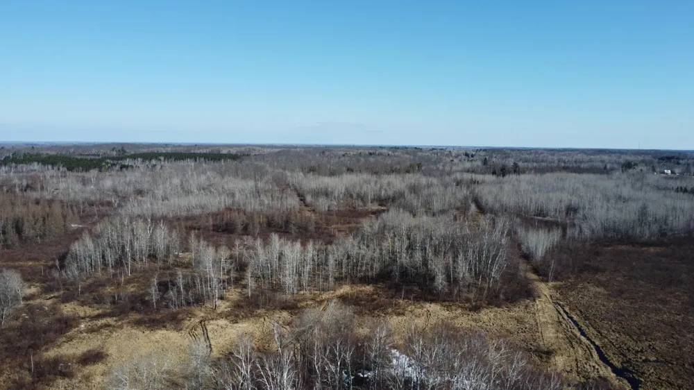 TBD Happy Tree Lane Bruno, MN 55712