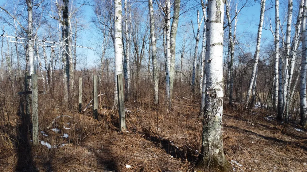 TBD Happy Tree Lane Bruno, MN 55712