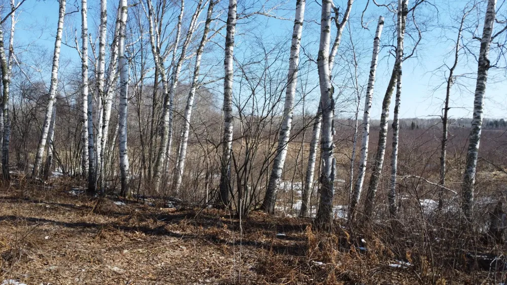 TBD Happy Tree Lane Bruno, MN 55712
