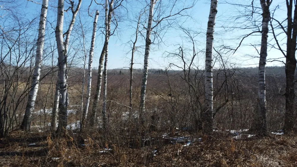 TBD Happy Tree Lane Bruno, MN 55712