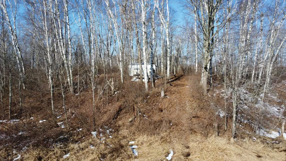 TBD Happy Tree Lane Bruno, MN 55712