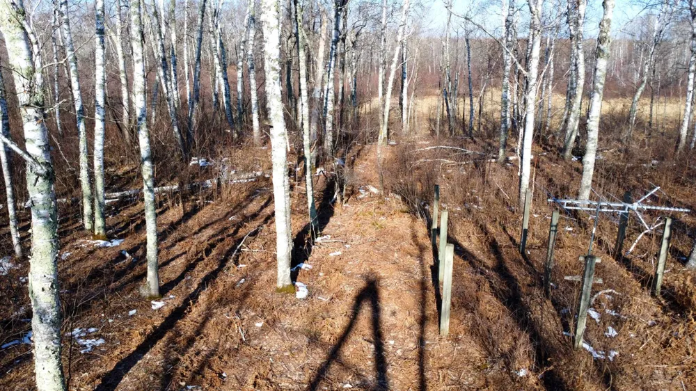 TBD Happy Tree Lane Bruno, MN 55712