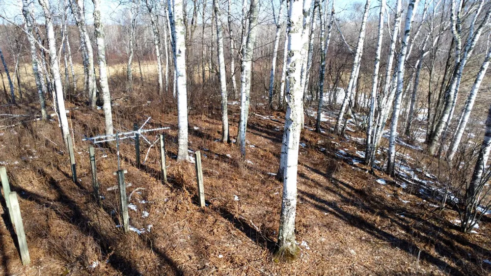 TBD Happy Tree Lane Bruno, MN 55712