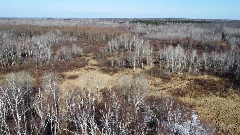 TBD Happy Tree Lane Bruno, MN 55712