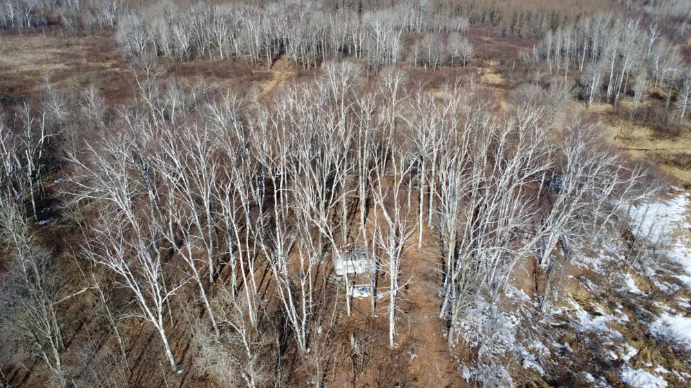 TBD Happy Tree Lane Bruno, MN 55712