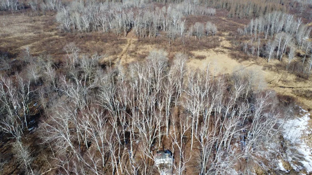 TBD Happy Tree Lane Bruno, MN 55712