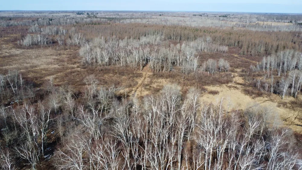 TBD Happy Tree Lane Bruno, MN 55712