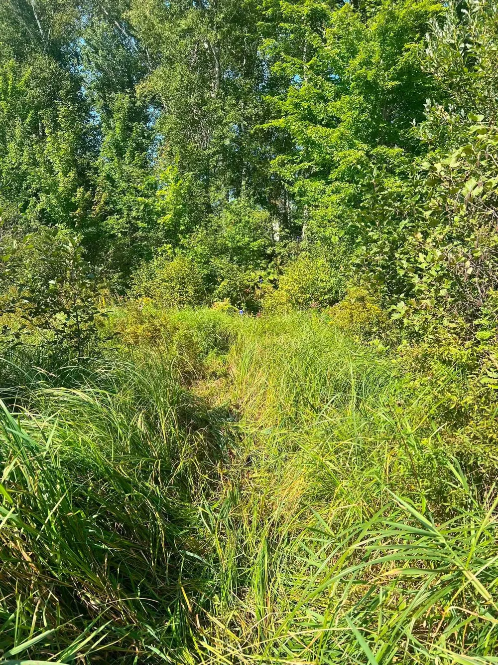 TBD Happy Tree Lane Bruno, MN 55712