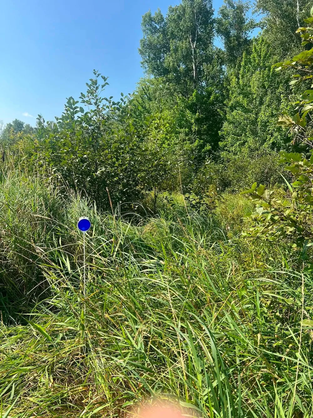 TBD Happy Tree Lane Bruno, MN 55712