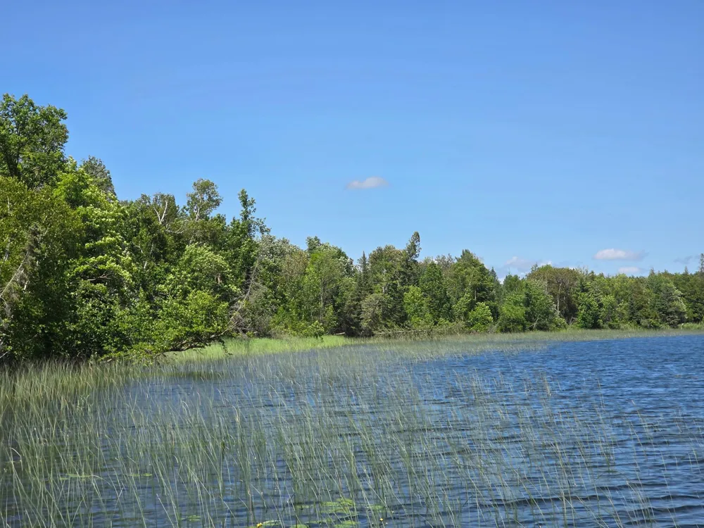 TBD Moose Lake Road NE Pennington, MN 56663