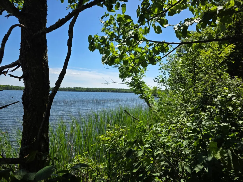 TBD Moose Lake Road NE Pennington, MN 56663